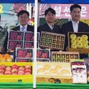 장터소비자마트 이미지