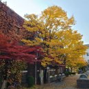 목동라테라산후조리원