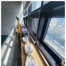 힐링요가(낮) 이미지