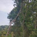 문막시장 이미지