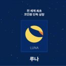 루나네트워크 이미지