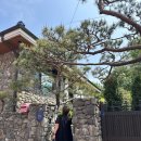 북계 | [웨딩 촬영 후기] 강남 로맨틱에비뉴 (토탈 스튜디오 추천 )웨딩북계약