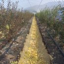 성기 농장 이미지