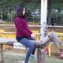 부안아리울승마장 이미지