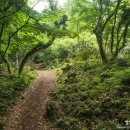 공원빌라 이미지