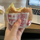 주의: (여전히)음식과 고양이만 나오는 포스팅입니다...🐷