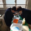 삼남중학교 이미지