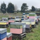 홍길동농장 이미지