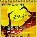 금 강  2 이미지