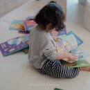 11590-라31-4 | 31개월 망고라이언 어떡해요 감정동화 | 왜 안돼요 비교 후기