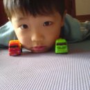 우승농장 이미지