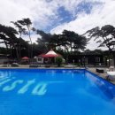 보령애견동반펜션 피노비스타 이미지