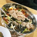 금강산 | [속초여행] 속초맛집 금강산옹심이막국수 내돈내산 후기