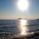 내마음바다죠 이미지