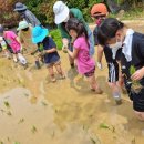 조안초등학교 이미지