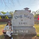 민들레제과 | 서울 근교 남양주 반려견 운동장 강추 후기(가나디 천국)