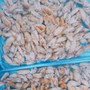 이천초병설 이미지