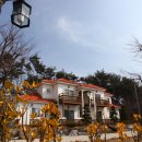 썬샤인조경 이미지