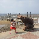 조개캐기 체험 네이버블로그
