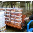 정왕1동주민센터 이미지