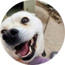 동식농장 이미지