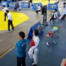 베테랑태권도 이미지