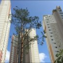 삼덕슈퍼 이미지