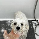 러브몽먼트 이미지