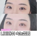 블랙나비 | 동탄속눈썹 나비래쉬 블랙틴팅 속눈썹펌 후기