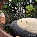 수원-1971 | 수원AK 도토리숲 방문 후기｜지브리 감성 듬뿍! 귀여운 굿즈 가득한 수원역 데이트 코스