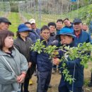 단양군농업기술센터 이미지