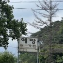 예당어죽 이미지