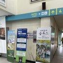 지에스25 한림항점 | 제주 부속섬 가파도 마라도 가는법 당일치기 배타는곳과 배시간