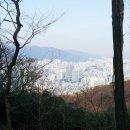 동의의료원 Daum카페