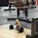 216.안골3번_2 | ✍️ 3월 첫째주 일상 블로그