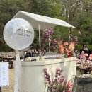 더케이터링45 | 세종케이터링 / 더 케이터링45 2025년 봄 후기 / 전국적으로 다니는 웨딩케이터링