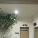 대전근로복지공단어린이집 이미지