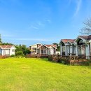 땅끝 남도의 향기 이미지