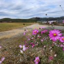 연천호로고루 이미지