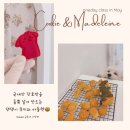 사랑방펫 이미지