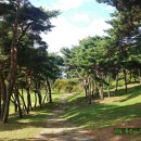 계백장군 이미지