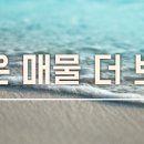 화인더샵공인중개사사무소 이미지
