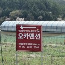 오카소펜션 | 속리산 근처 자연을 품은 가성비 애견 동반 숙소 추천, 아늑한 애견 동반 펜션 오카맨션 내돈내산 후기!