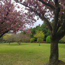 광안어패류시장 이미지