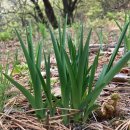 외남초교 이미지