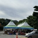 더피자.먹거리장터 이미지