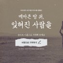 팀앤팀