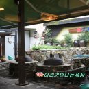 태조밥상 이미지