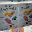댕유 이미지