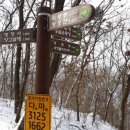 장성공설운동장 11 이미지